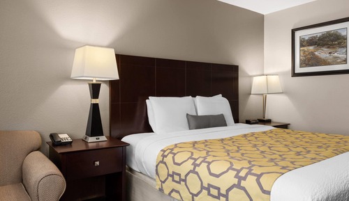 Room, 1 King Bed, Non Smoking