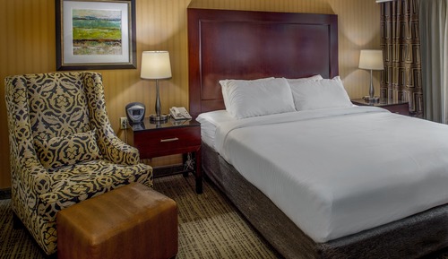 Standard Room, 1 King Bed (Accessible Tub)