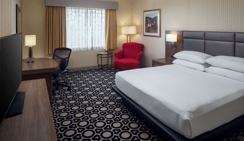 Room, 1 King Bed, Accessible