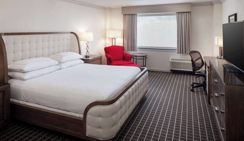 Suite, 1 King Bed