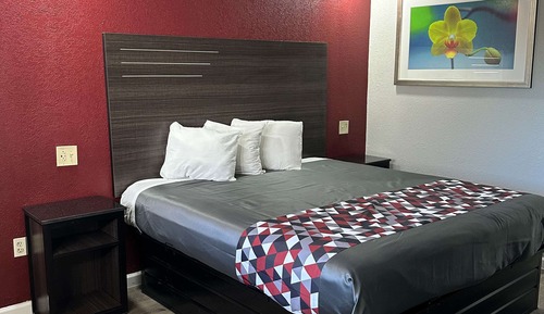 Room, 1 King Bed, Accessible, Non Smoking