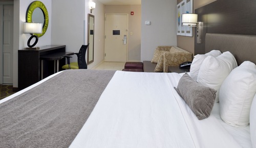 Standard Room, 1 King Bed, Non Smoking, Refrigerator & Microwave (Larger Room;with Sofabed)