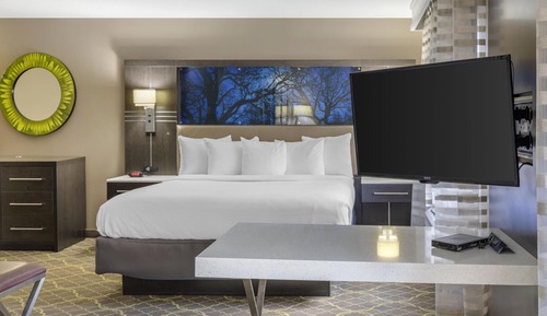 Standard Room, 1 King Bed, Accessible, Bathtub (Larger Room;with Sofabed)