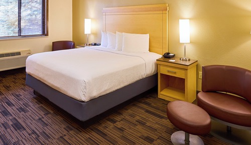 Executive Room, 1 King Bed, Non Smoking