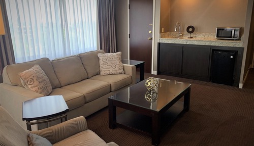 Junior Suite, 1 King Bed with Sofa bed, Non Smoking