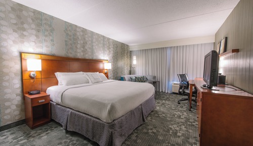 Room, 1 King Bed with Sofa bed (Hearing Accessible)