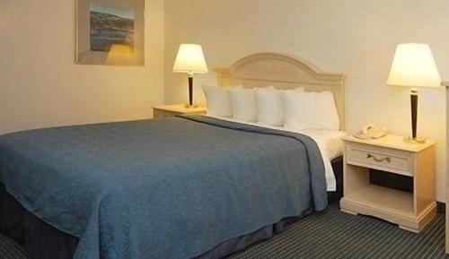 Standard Room, 1 King Bed, Non Smoking