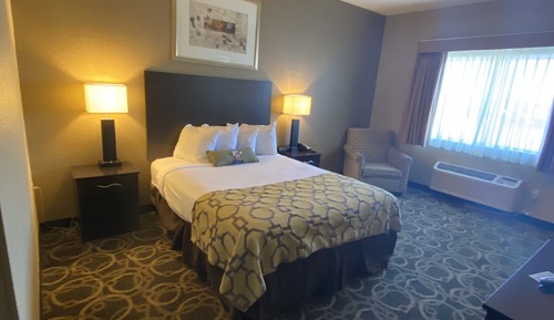 Standard Room, 1 Queen Bed, Accessible