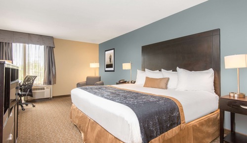 Room, 1 King Bed, Non Smoking