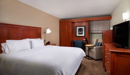 Room, 1 King Bed, Non Smoking