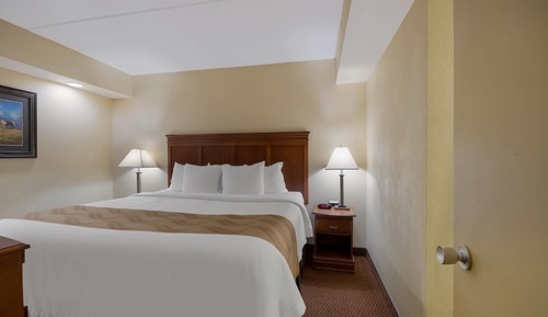 Suite, 1 King Bed, Non Smoking