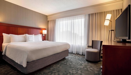 Executive Suite, 1 King Bed with Sofa bed, Non Smoking
