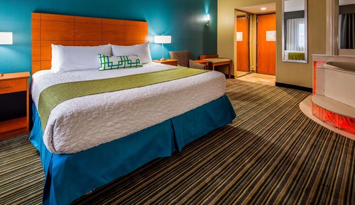 Standard Room, 1 King Bed, Non Smoking, Jetted Tub