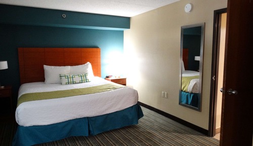 Suite, 1 King Bed, Non Smoking, Refrigerator & Microwave (with Sofabed)