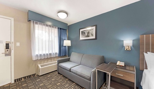 Standard Room, 1 King Bed, Accessible, Refrigerator & Microwave (with Sofabed)