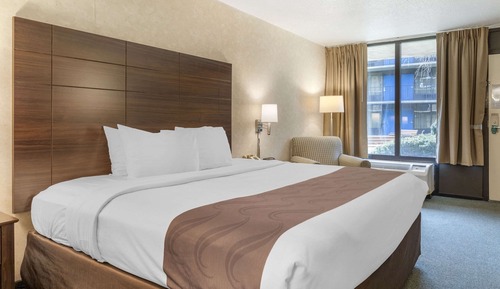 Standard Room, 1 King Bed, Non Smoking