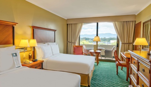 Superior Room, Terrace