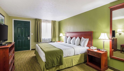 Room, 1 King Bed, Accessible, Non Smoking