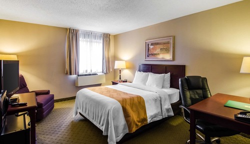 Standard Room, 1 King Bed, Non Smoking (Pet Friendly)
