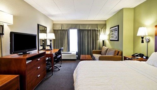 Room, 1 King Bed with Sofa bed