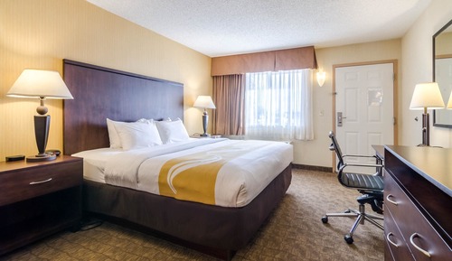 Standard Room, 1 King Bed, Non Smoking