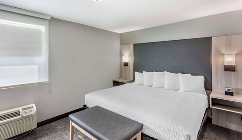 Junior Suite, 1 King Bed, Non Smoking, Refrigerator & Microwave (with Sofabed)