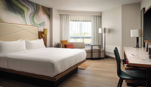 Room, 1 King Bed with Sofa bed