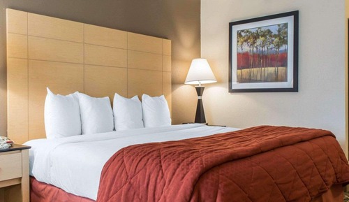 Standard Room, 1 King Bed with Sofa bed, Non Smoking