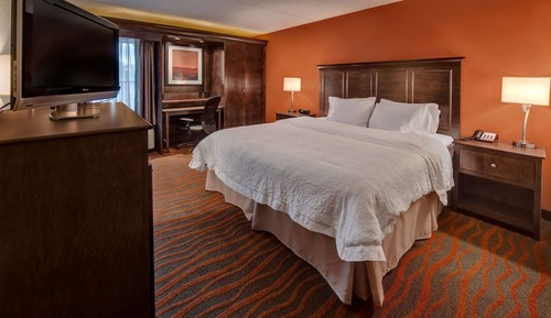 Room, 1 King Bed, Accessible