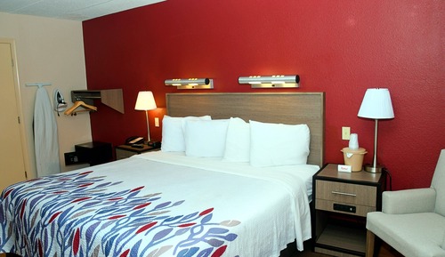 Superior Room, 1 King Bed, Accessible (Roll-In Shower, Smoke Free)