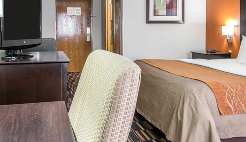 Standard Room, 1 King Bed, Non Smoking
