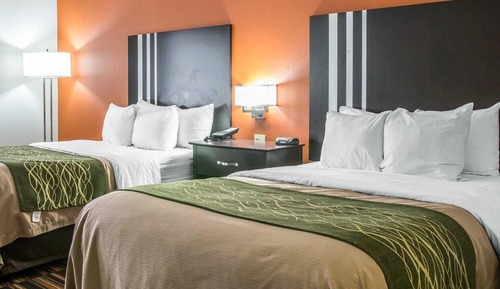 Standard Double Room, 2 Double Beds, Non Smoking