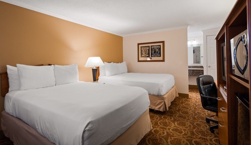 Standard Double Room, Non Smoking, Refrigerator & Microwave