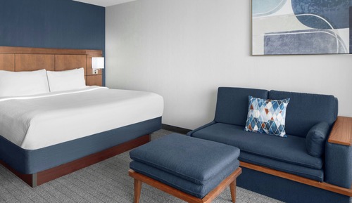 Room, 1 King Bed with Sofa bed, Non Smoking (Mobility/Hearing Accessible, Tub)
