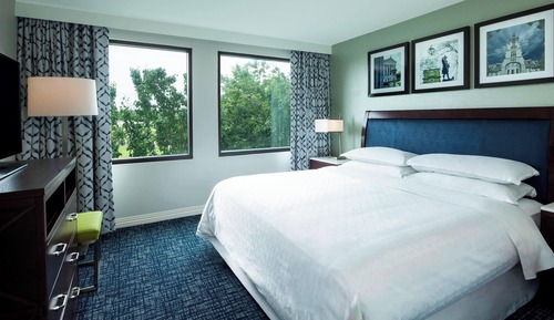 Business Suite, 1 King Bed with Sofa bed