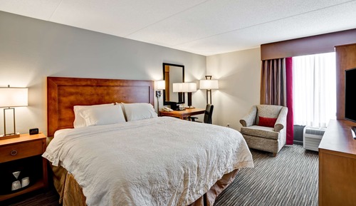 Room, 1 King Bed, Accessible, Refrigerator & Microwave (Mobility & Hearing, Bathtub)