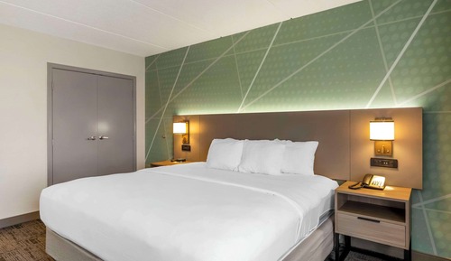 Suite, 1 King Bed with Sofa bed, Non Smoking