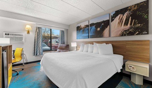Business Room, 1 King Bed, Non Smoking