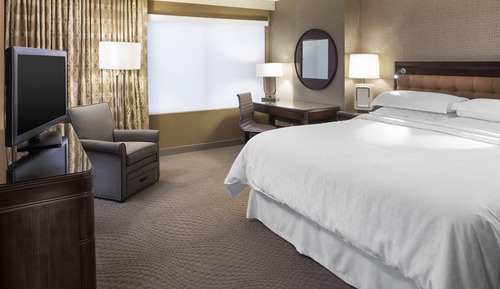 Room, 1 King Bed