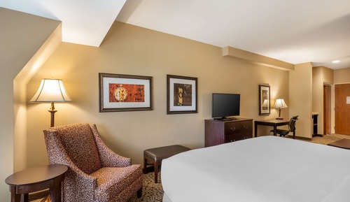 Standard Room, 1 King Bed, Accessible, Refrigerator & Microwave