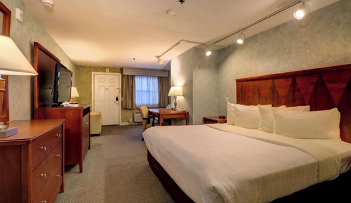 Presidential Room with 1 King Bed