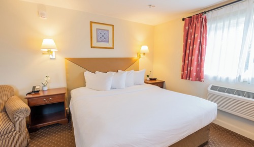 Economy Room, 1 King Bed