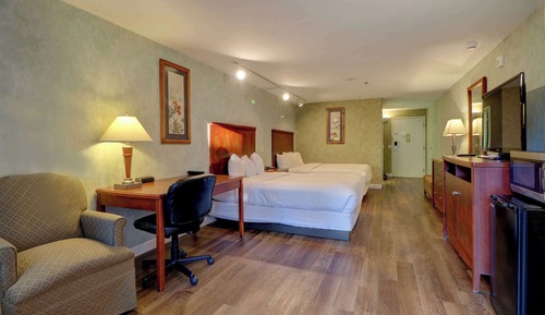 Presidential Room with 2 Queen Beds Pet-Friendly