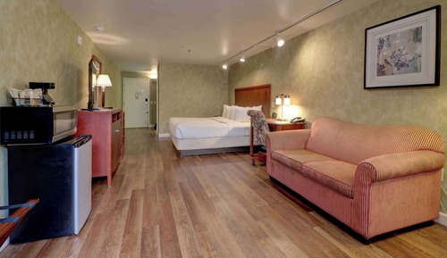 Presidential Room with 1 King Bed Pet-Friendly
