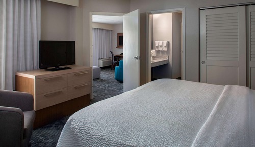 Suite, 1 King Bed with Sofa bed