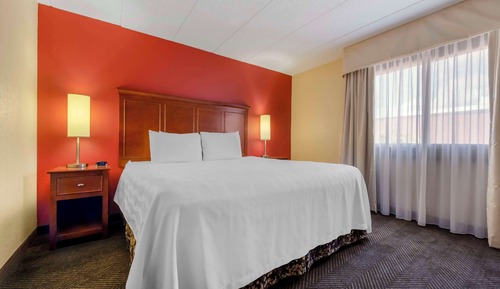 Suite, 1 King Bed, Non Smoking, Refrigerator & Microwave (with Sofabed)