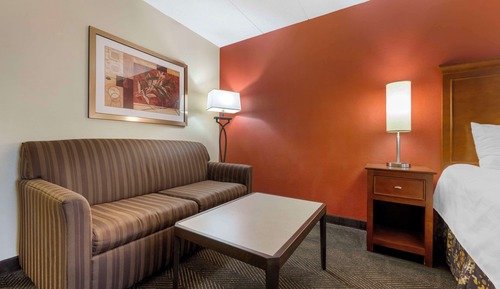Standard Room, 1 King Bed, Non Smoking, Refrigerator & Microwave (with Sofabed)