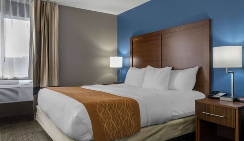 Standard Room, 1 King Bed, Non Smoking