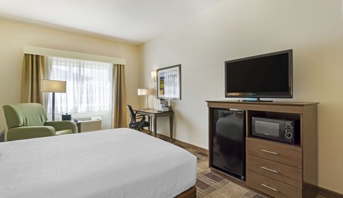 Standard Room, 1 Queen Bed, Accessible, Refrigerator & Microwave (Walk-in Shower)