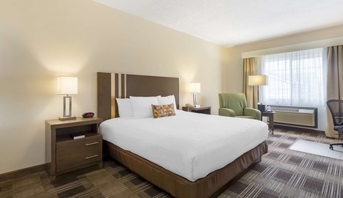 Suite, 1 King Bed, Non Smoking, Kitchen (Living Room, Full Kitchen)